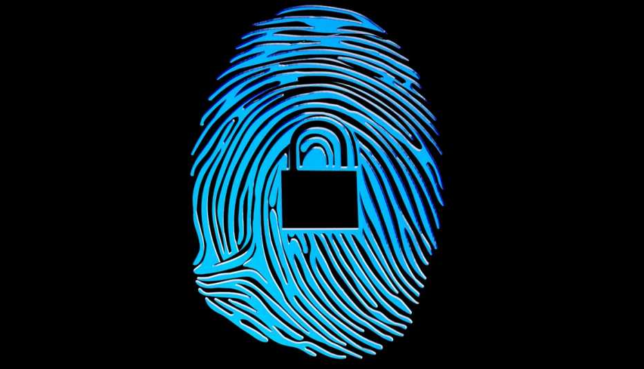 fingerprint icon with a lock icon to show protection